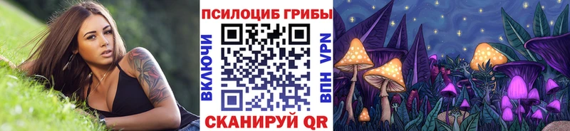 Купить где  Чебоксары  Псилоцибиновые грибы Psilocybe 