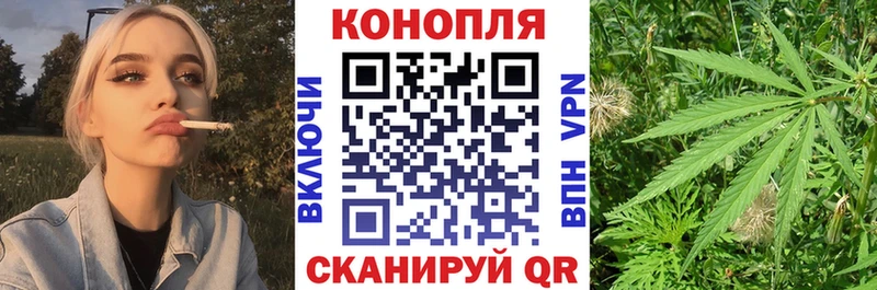 Купить где  Чебоксары  Каннабис индика 